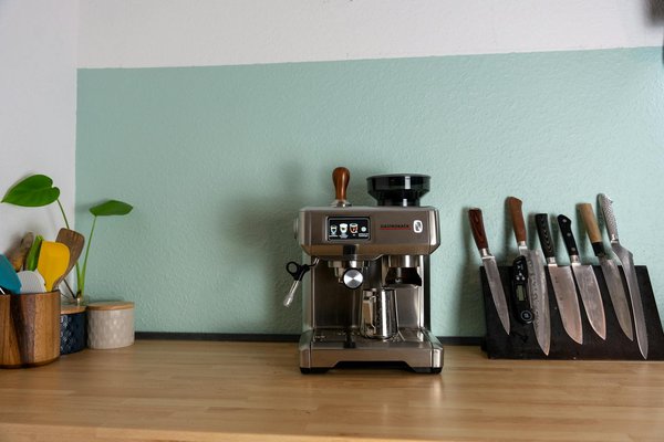 Comment intégrer des plantes d'intérieur pour améliorer la qualité de l'air dans votre maison ?