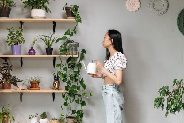 Comment intégrer des plantes d'intérieur pour améliorer la qualité de l'air dans votre maison ?