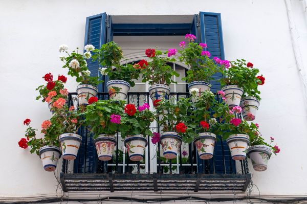 Créer un jardin de fleurs sur son balcon