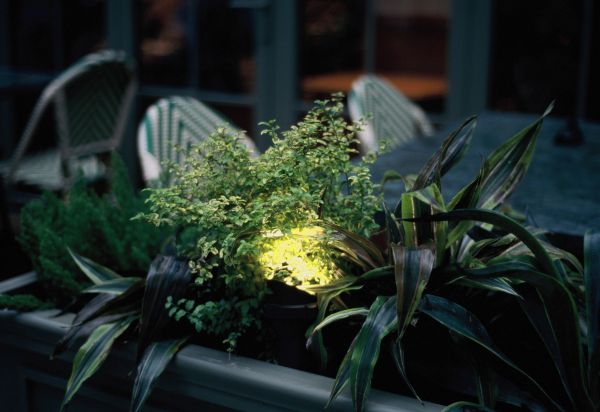 Créer un jardin de nuit grâce à un éclairage adéquat